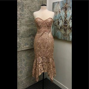 Bariano Rhodolite Gown